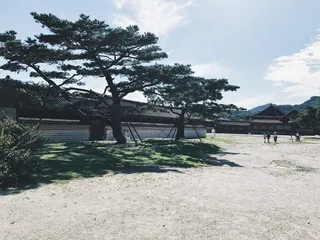 韩国，jongno 1（伊利诺伊州）。2（i）。3（sam）。4（sa），1-1 jongno 1（il）。2（i）。3（sam）。4（sa），韩国，植物，树木，建筑结构，天空