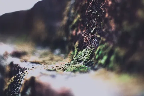 高山幻觉摄影 高山幻觉摄影