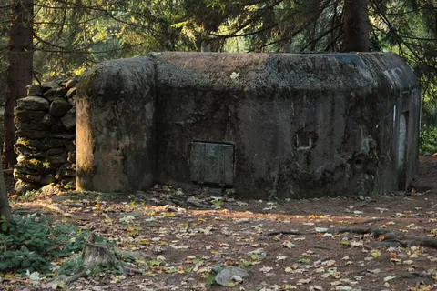 šumava,碉堡,自然,防御工事,树木,建筑,建筑结构,工厂 šumava,碉堡,自然,防御工事,树木,建筑,建筑结构,工厂