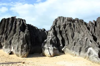 石头，大石头，物体，湿石头，石头和树，树，大石头，活石头