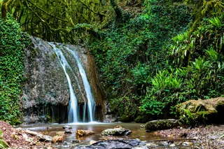 树木、河流、瀑布、森林、绿色、瀑布、景观、水