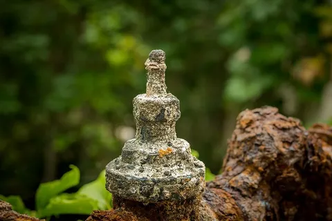 水龙头、水管、沉积物、水垢、生锈、陈旧、卫生设施、废水 水龙头、水管、沉积物、水垢、生锈、陈旧、卫生设施、废水