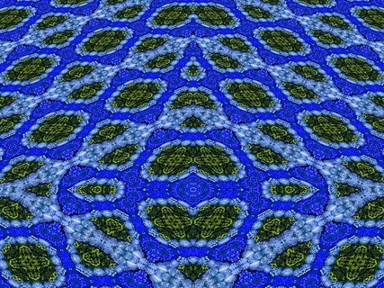 为对称和深度透视渲染的花朵的照片处理