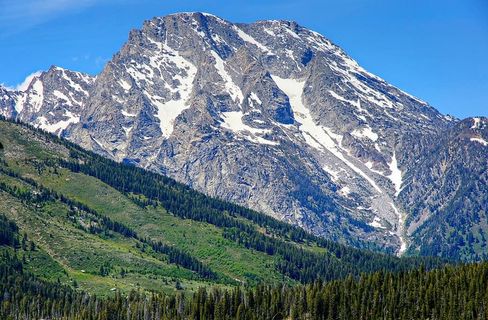 大提顿国家公园（Grand Teton National Park）的一座被冰川覆盖的山峰的前景是一个绿色森林覆盖的斜坡。