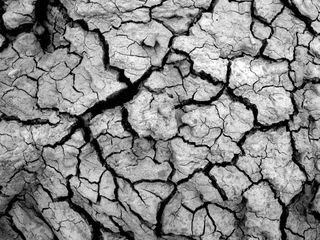 美国安扎博雷戈沙漠州立公园，博雷戈泉，图案，背景，泥，黑白