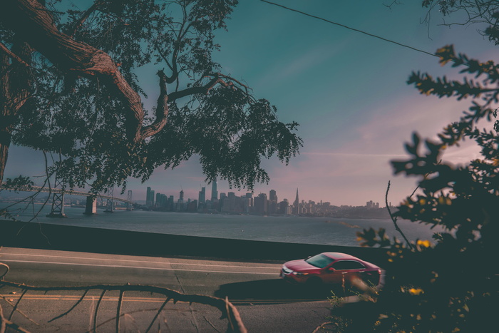 旧金山, 金银岛, 美国, 海湾大桥, 树, 植物, 真实的人, 天空