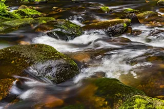 特写照片，瀑布，苔藓，水，河流，自然，景观，石头