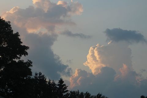 天空，云，树木，自然，傍晚，黎明，天堂，黄昏