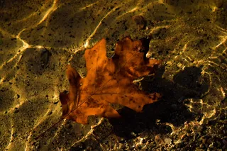 水、河流、岩石、黄色、橙色、自然、无人、土地