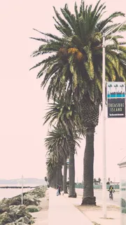 美国, 旧金山, 金银岛, 波, 水, 飞溅, 多云, 叶子