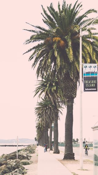 美国, 旧金山, 金银岛, 波, 水, 飞溅, 多云, 叶子