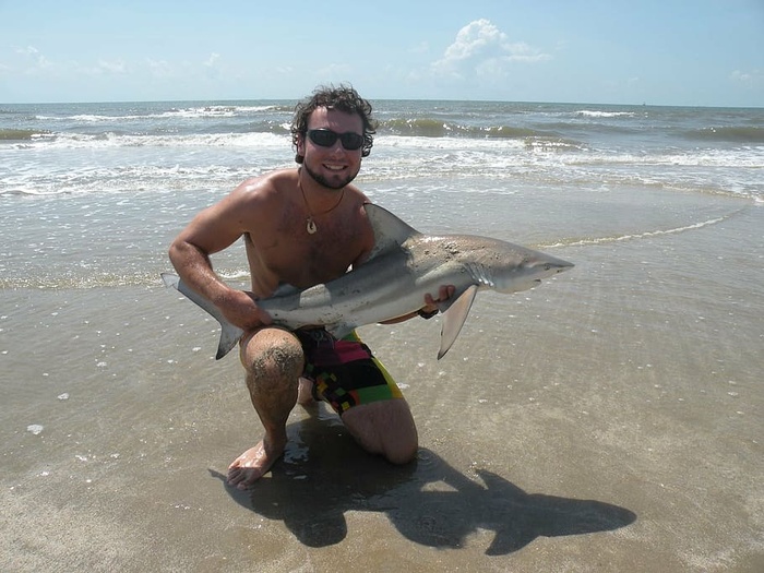 鲨鱼，专家，海洋生物学家，博士，危险，疯狂，捕食者，微笑