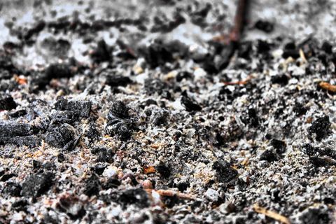 灰烬,纹理,选择性聚焦,无人,纹理,特写,白天,自然 灰烬,纹理,选择性聚焦,无人,纹理,特写,白天,自然