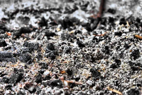 灰烬,纹理,选择性聚焦,无人,纹理,特写,白天,自然 灰烬,纹理,选择性聚焦,无人,纹理,特写,白天,自然