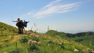 人，骑，黑，牛，山，旁边，腿，动物