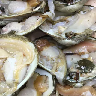 蛤蜊、新鲜、贝类、生的、食品和饮料、食品、新鲜度、健康饮食 蛤蜊、新鲜、贝类、生的、食品和饮料、食品、新鲜度、健康饮食