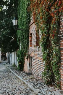 藤蔓覆盖的旧建筑