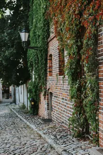 藤蔓覆盖的旧建筑