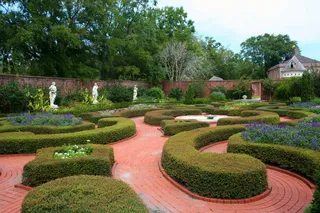 绿色迷宫花园，结花园，正式花园，花卉，草本，园艺，树篱，设计