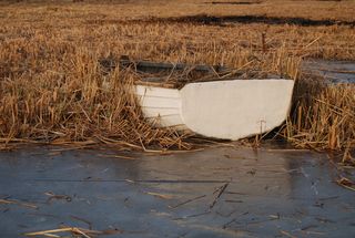 船舶, 巴拉顿湖, 冻结, 船, 部分, 水, 自然, 植物