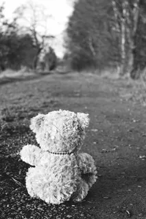 灰度照片，熊，毛绒，玩具，地面，泰迪，泰迪熊，软玩具