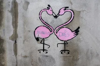 涂鸦, 绘画, 墙, 蓬塔德尔加达, 亚速尔群岛, 葡萄牙, 火烈鸟, 爱