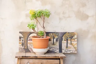 西班牙、巴塞罗那、西班牙、夏季、棕色、绘画、陈年、纹理