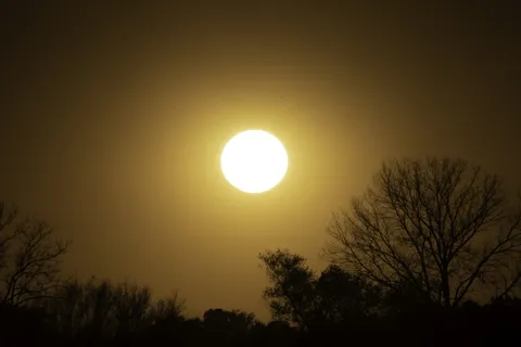 太阳、天空、下午、光线、树木、自然、户外、黄色 太阳、天空、下午、光线、树木、自然、户外、黄色