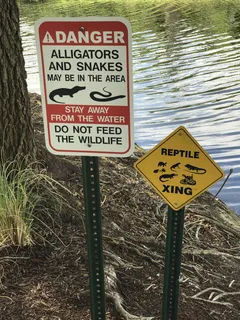 短吻鳄，蛇，野生，自然，野生动物，爬行动物，动物群，标志