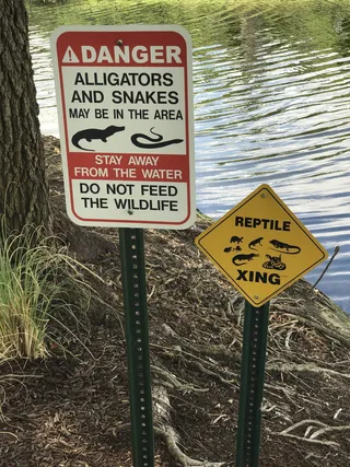 短吻鳄，蛇，野生，自然，野生动物，爬行动物，动物群，标志