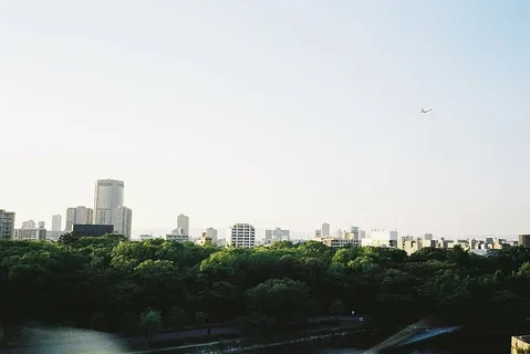 建筑,城市,晴朗的天空,森林,高楼,湖泊度假,自然,公园 建筑,城市,晴朗的天空,森林,高楼,湖泊度假,自然,公园