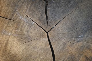 棕色木质表面，jans bois，比利时，哈泽，木质，灰色，座垫，家居装饰