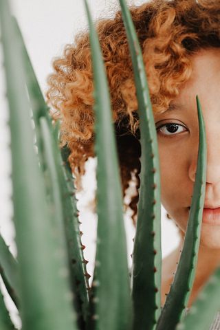 芦荟摄影背后的女人