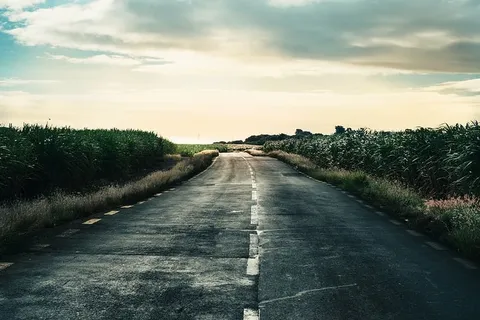 沥青、乡村、黎明、黄昏、草地、户外、透视图、道路 沥青、乡村、黎明、黄昏、草地、户外、透视图、道路