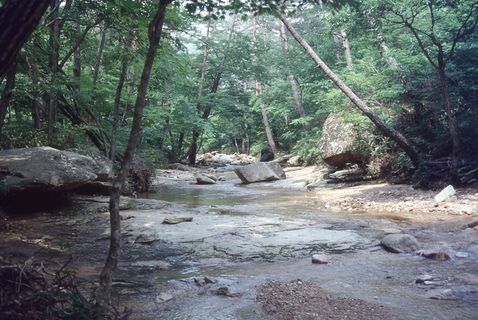 韩国松尼山，桑居寺，韩国，树木，森林，植物，土地