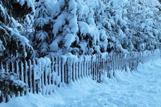 寒冷，栅栏，雪，白色，冰冻，冬天，栅栏，霜冻