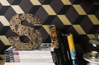 装饰性字母“S”