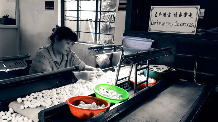 丝虫，中国，旅行，蚕，丝绸，传统，人，女人