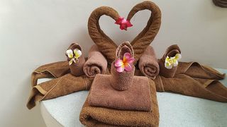 浴室，欢迎，浴巾艺术，家居，室内，花卉，无人，动物代表