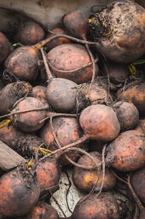 英国、伦敦、portobello路市场、季节性、金色甜菜根、食品、蔬菜、甜菜根