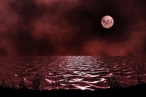 黄昏,夜晚,大海,水,红色,月亮,大自然,海洋 黄昏,夜晚,大海,水,红色,月亮,大自然,海洋