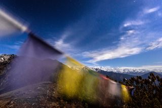 树木附近的旗帜，特写照片，悬挂，纺织品，白天，旗帜，蓝天，云