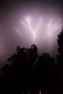 雷电下的树木剪影 雷电下的树木剪影