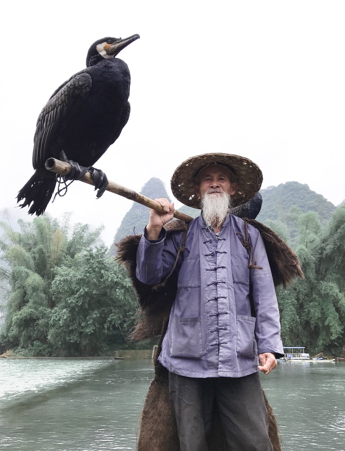 拿着一根棍子和栖息的鸟的人
