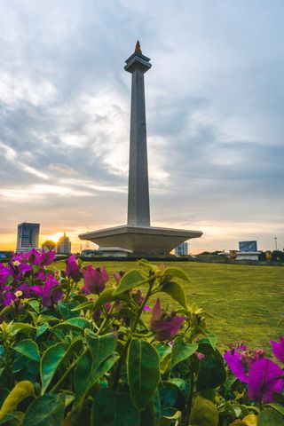 印尼，国家纪念碑，天空，建筑，植物，自然，旅游目的地，花卉