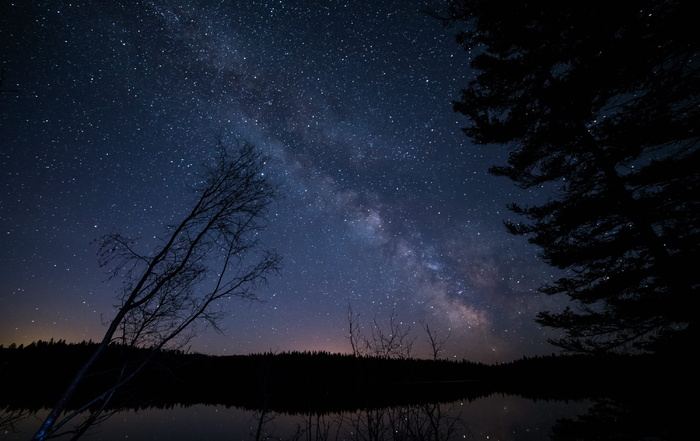 星夜下的树木