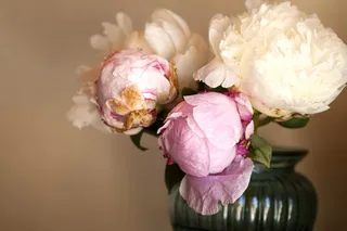 花瓶里的粉红色花朵