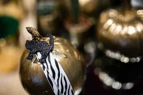 金色的装饰性仙人掌南瓜