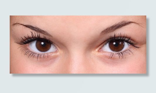 人类棕色眼睛，美丽，特写，眼睛，眉毛，睫毛，眼睛，女性