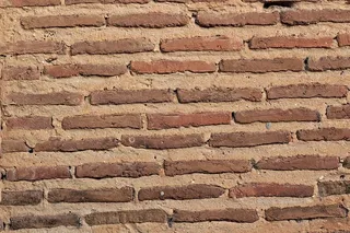 褐砖，砖，墙，背景，墙纸，苔藓，植物，石墙